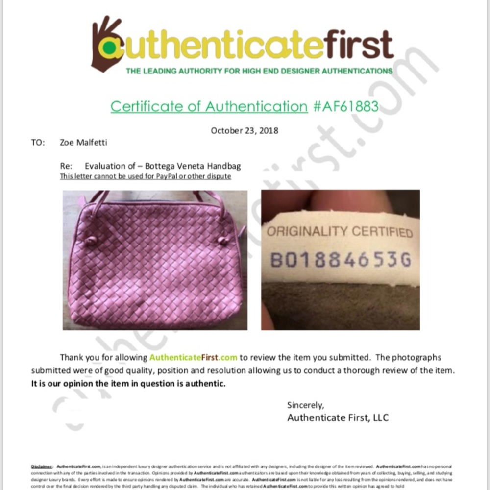 Bottega Veneta Bag / Nodini / designer purse